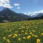 Bergfex Gaisalphorn Mit Sommer-bergbahnticket Apartament