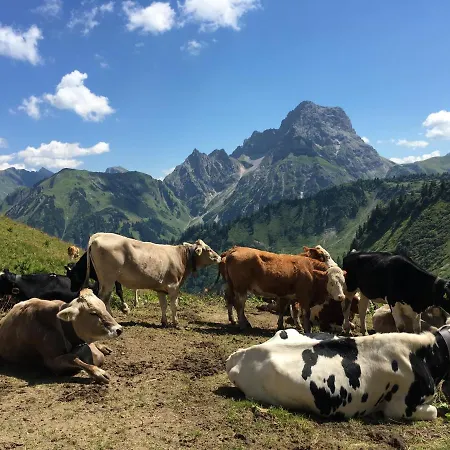 Bergfex Gaisalphorn Mit Sommer-bergbahnticket * Oberstdorf