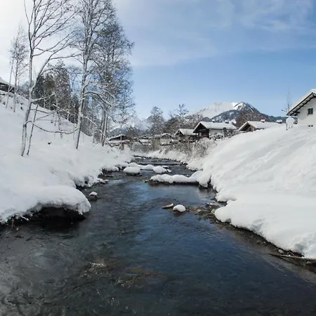 Gaisalphorn Mit Netflix, Garage Und Sommer-bergbahnticket Apartment *