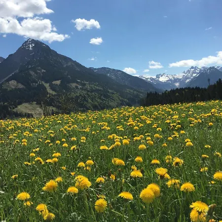Bergfex Gaisalphorn Mit Sommer-bergbahnticket Lejlighed