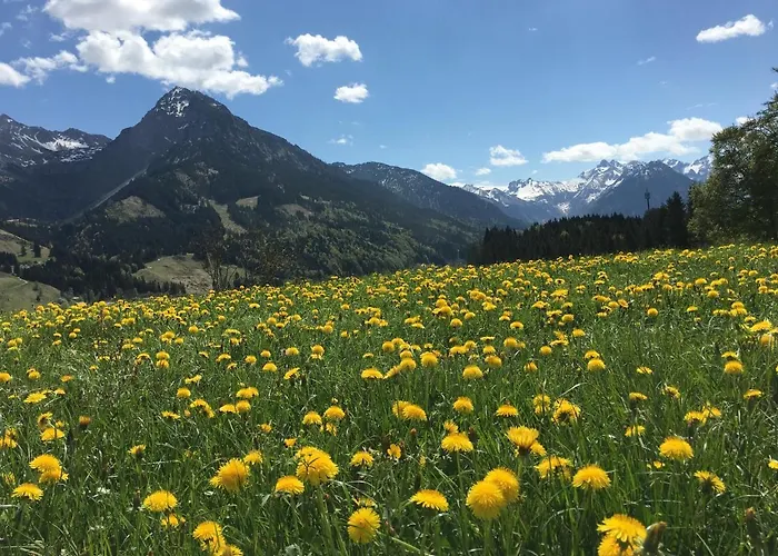Bergfex Gaisalphorn Mit Sommer-bergbahnticket Apartmán